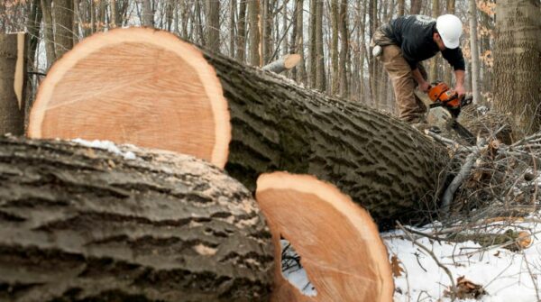Logging Enterprise 
