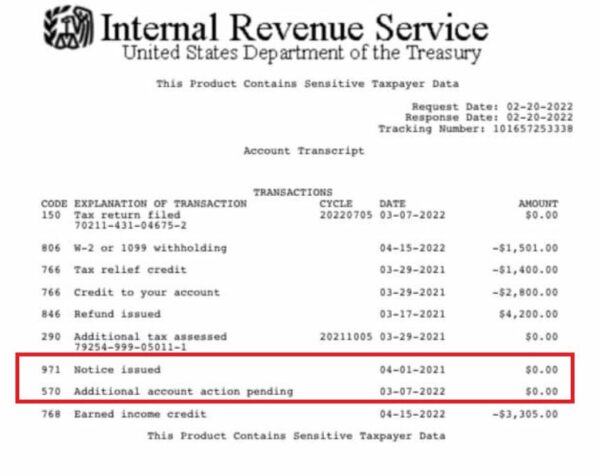 WHAT DOES REFUND ISSUED MEAN ACCORDING TO IRS IRS MASTER FILE CODES