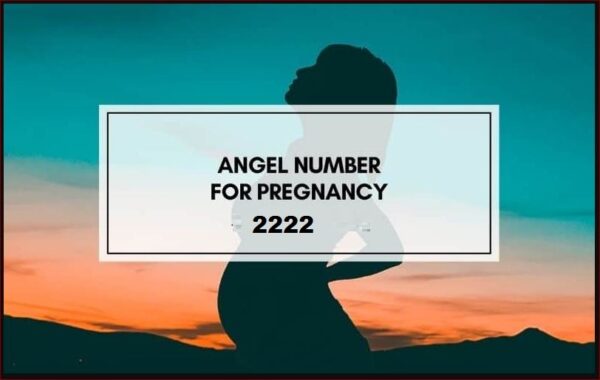 2222 mean for pregnancy