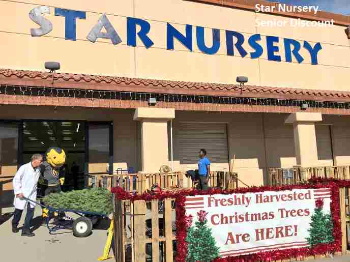 Star Nursery Senior Discount