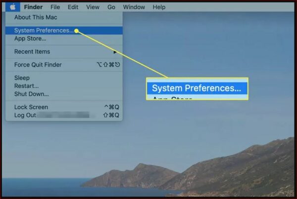 then select System Preferences