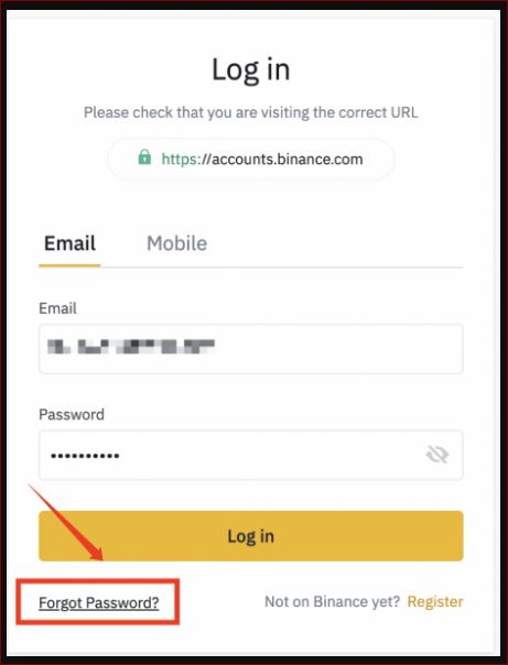 wrong password when logging in to Binance