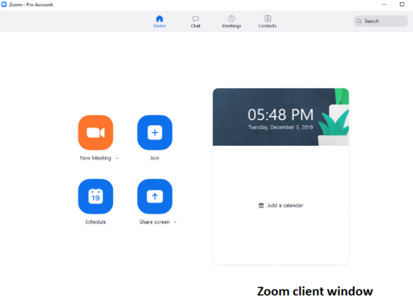 Zoom client window