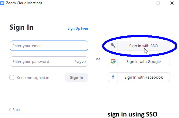 sign in using SSO