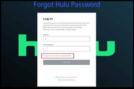 Reset Password Step for Hulu