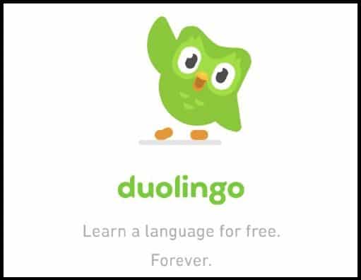 What is Duolingo